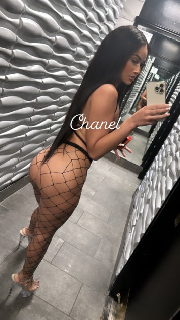  is Female Escorts. | Phoenix | Arizona | United States | scarletamour.com 