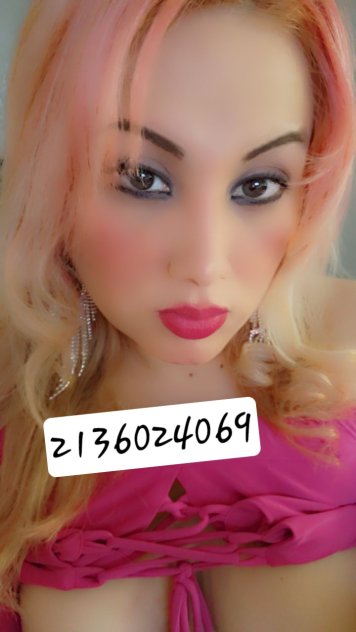  is Female Escorts. | Columbia | South Carolina | United States | scarletamour.com 