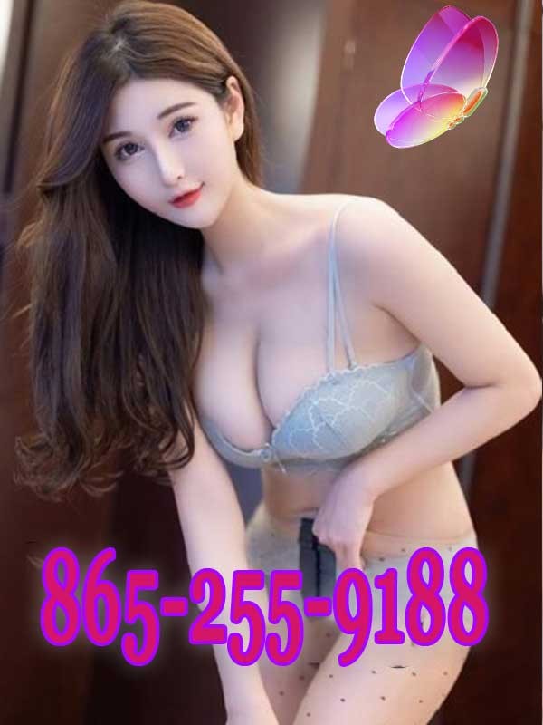 865-255-9188 is Female Escorts. | Johnson City | Tennessee | United States | scarletamour.com 